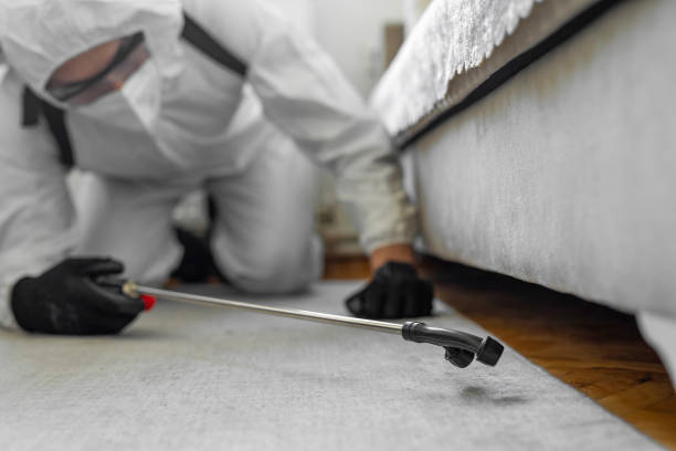 Professional Ant Control technician working in Benzie County County, MI